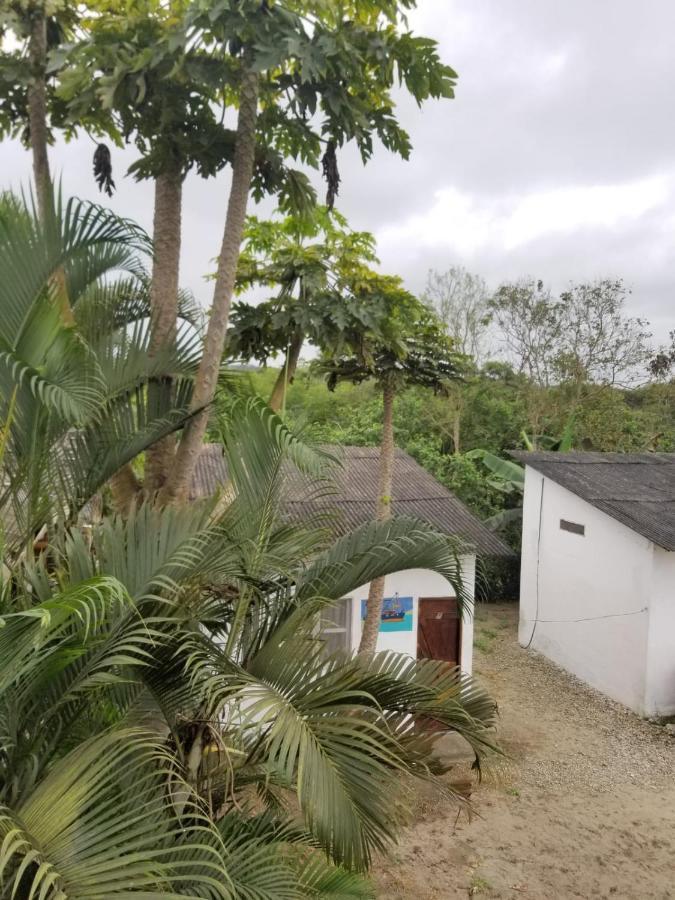 Montanita Garden Hostal Bagian luar foto